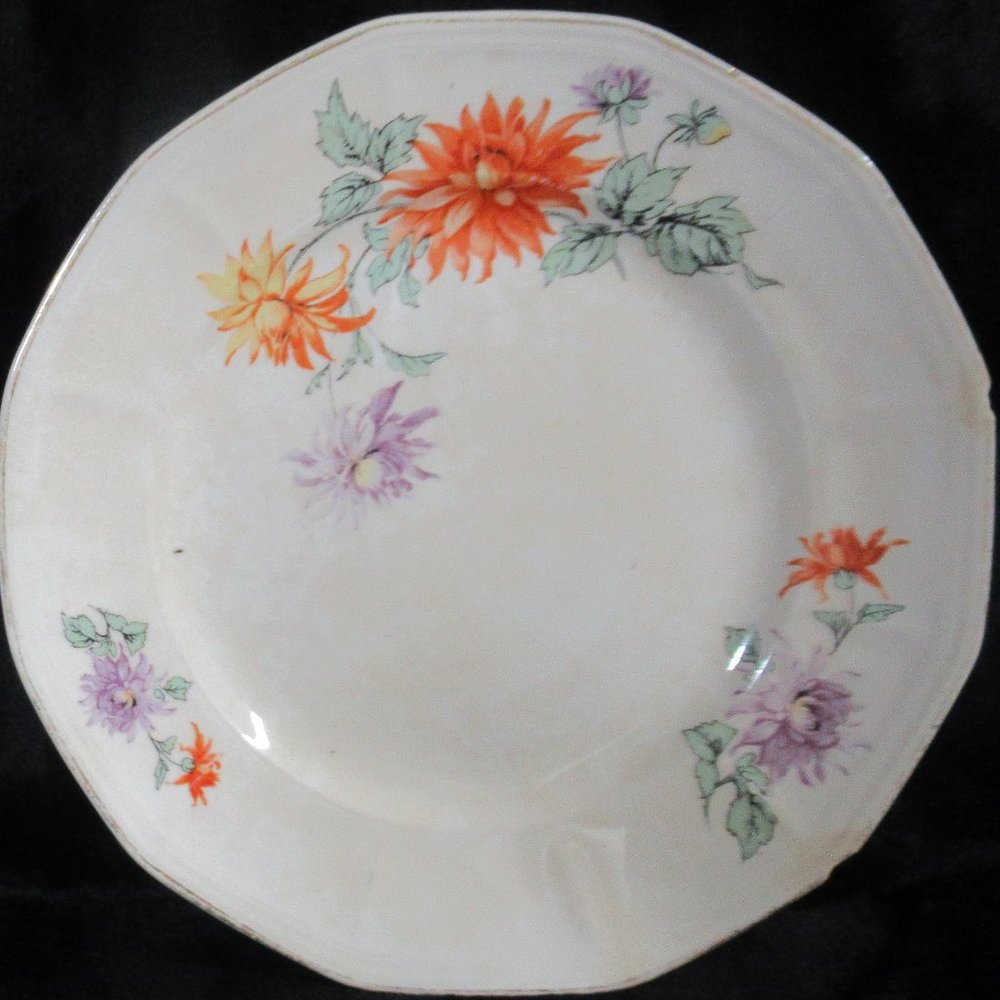 Vintage Atlas Globe China Co Cambridge Ivory Floral Dinner Plates (2pcs)